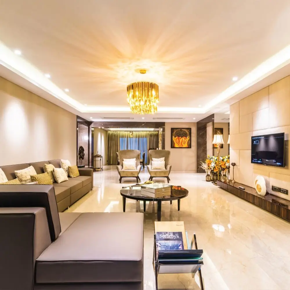 Luxurious-living-room